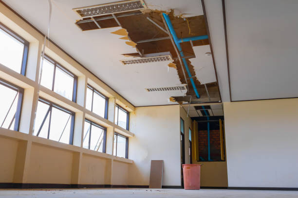 Best Water damage cleanup near me  in Wendover, UT