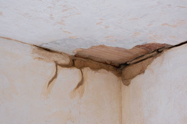 Best Water damage restoration experts  in Wendover, UT