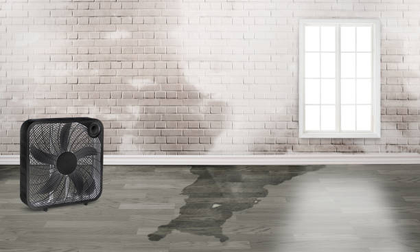 Water damage restoration insurance claims in UT