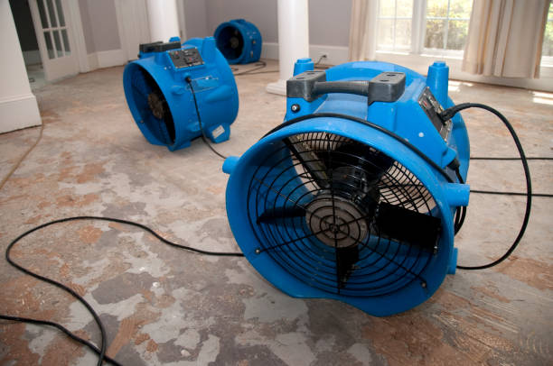 Best Basement water damage restoration  in Wendover, UT