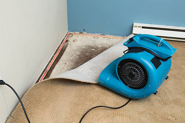 Best Flooded house restoration  in Wendover, UT